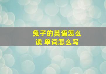 兔子的英语怎么读 单词怎么写